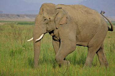 Similar image 8015522