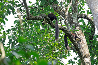 Similar image 8015526