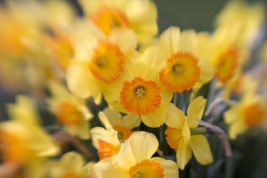 Similar image 8015539