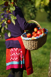 Similar image 8015546