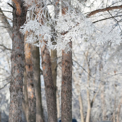 Similar image 8015556