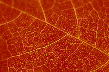 Similar image 8015557