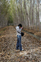 Similar image 8015564