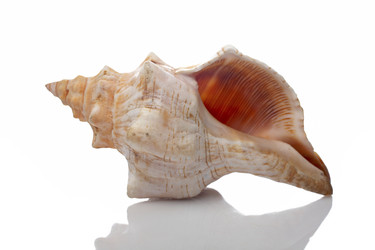 Similar image 8015567