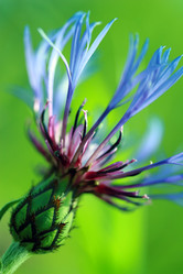 Similar image 8015581