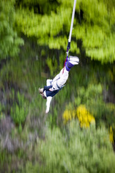 Similar image 8015582