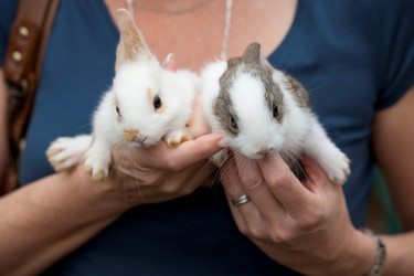 Similar image 8015587