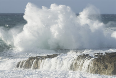 Similar image 8015590