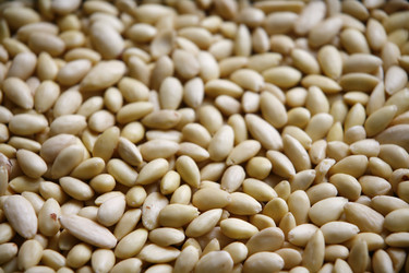 Similar image 8015601