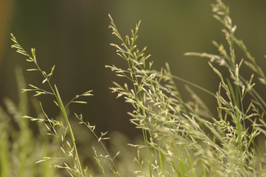 Similar image 8015602