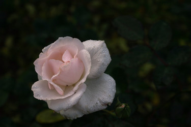 Similar image 8015606