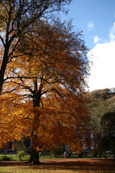 Similar image 8015613