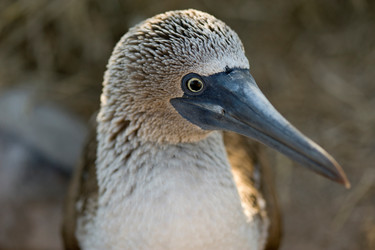 Similar image 8015617