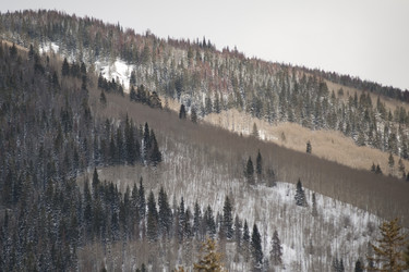 Similar image 8015619