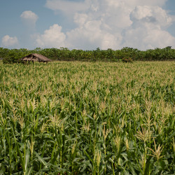 Similar image 8015624