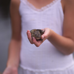 Similar image 8015635