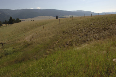 Similar image 8015643