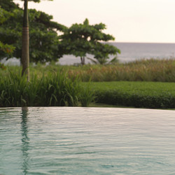 Similar image 8015654