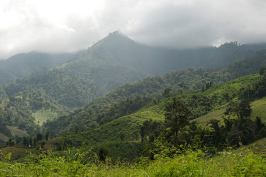 Similar image 8015672