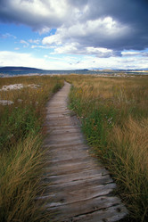 Similar image 8015675