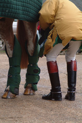 Similar image 8015682