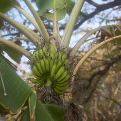 Similar image 8015687