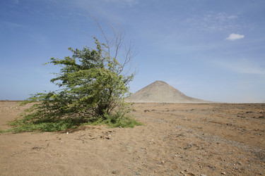 Similar image 8015693