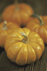 Similar image 8015705