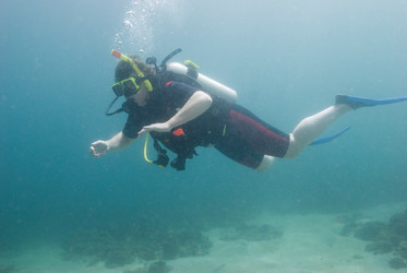 Similar image 8015716