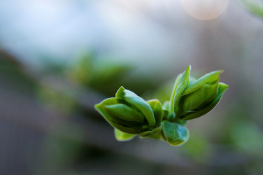 Similar image 8015724