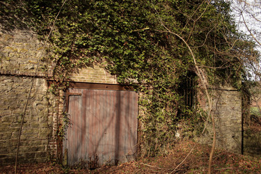 Similar image 8015726