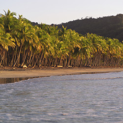 Similar image 8015735