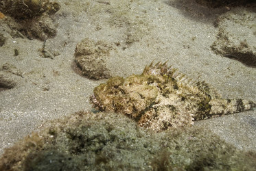 Similar image 8015739