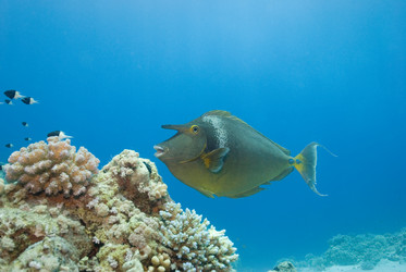 Similar image 8015743