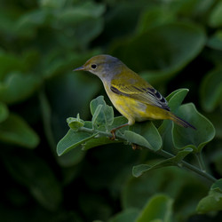 Similar image 8015751