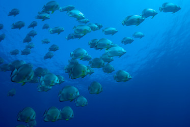 Similar image 8015758