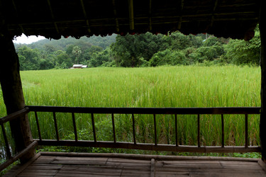 Similar image 8015759