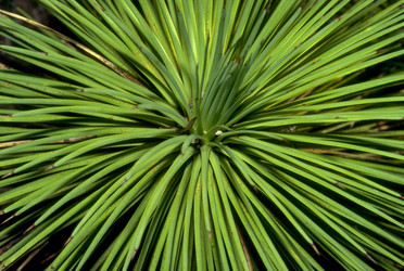 Similar image 8015761