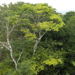 Similar image 8015763