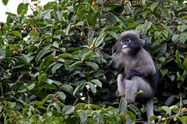 Similar image 8015764