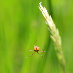 Similar image 8015770