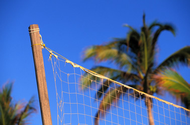 Similar image 8015773