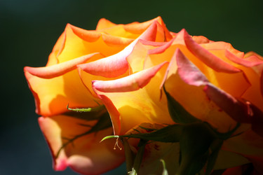 Similar image 8015780