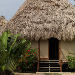 Similar image 8015786