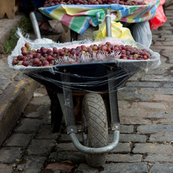 Similar image 8015792