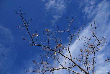 Similar image 8015793