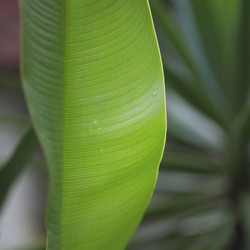 Similar image 8015799