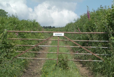 Similar image 8015800