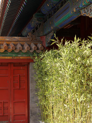 Similar image 8015814