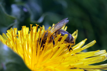 Similar image 8015817